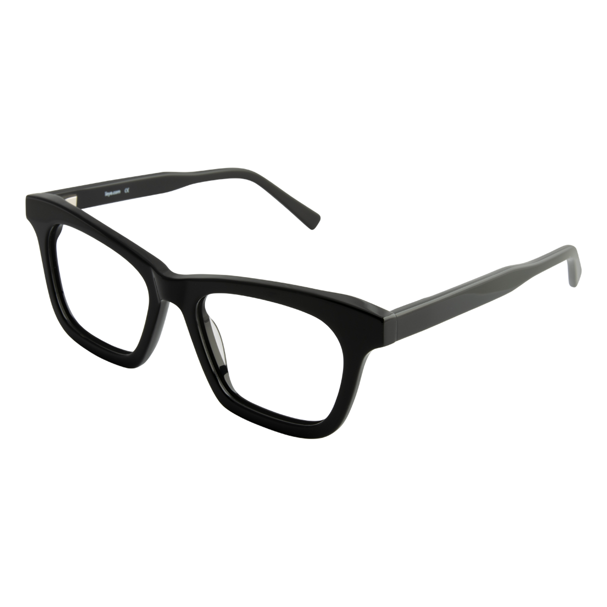 iEye B61
