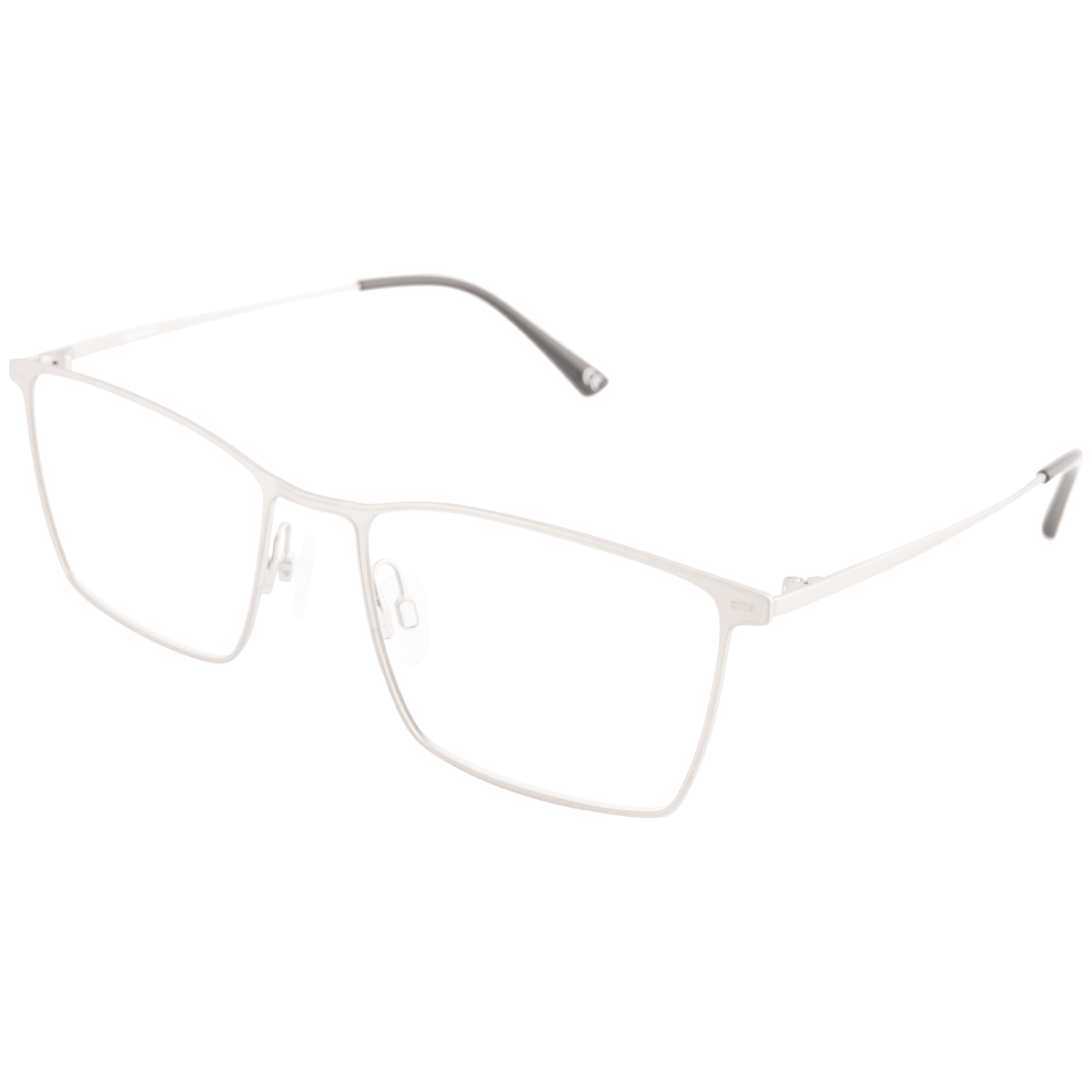 iEye L1