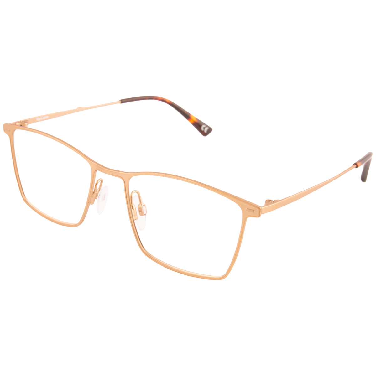 iEye L1