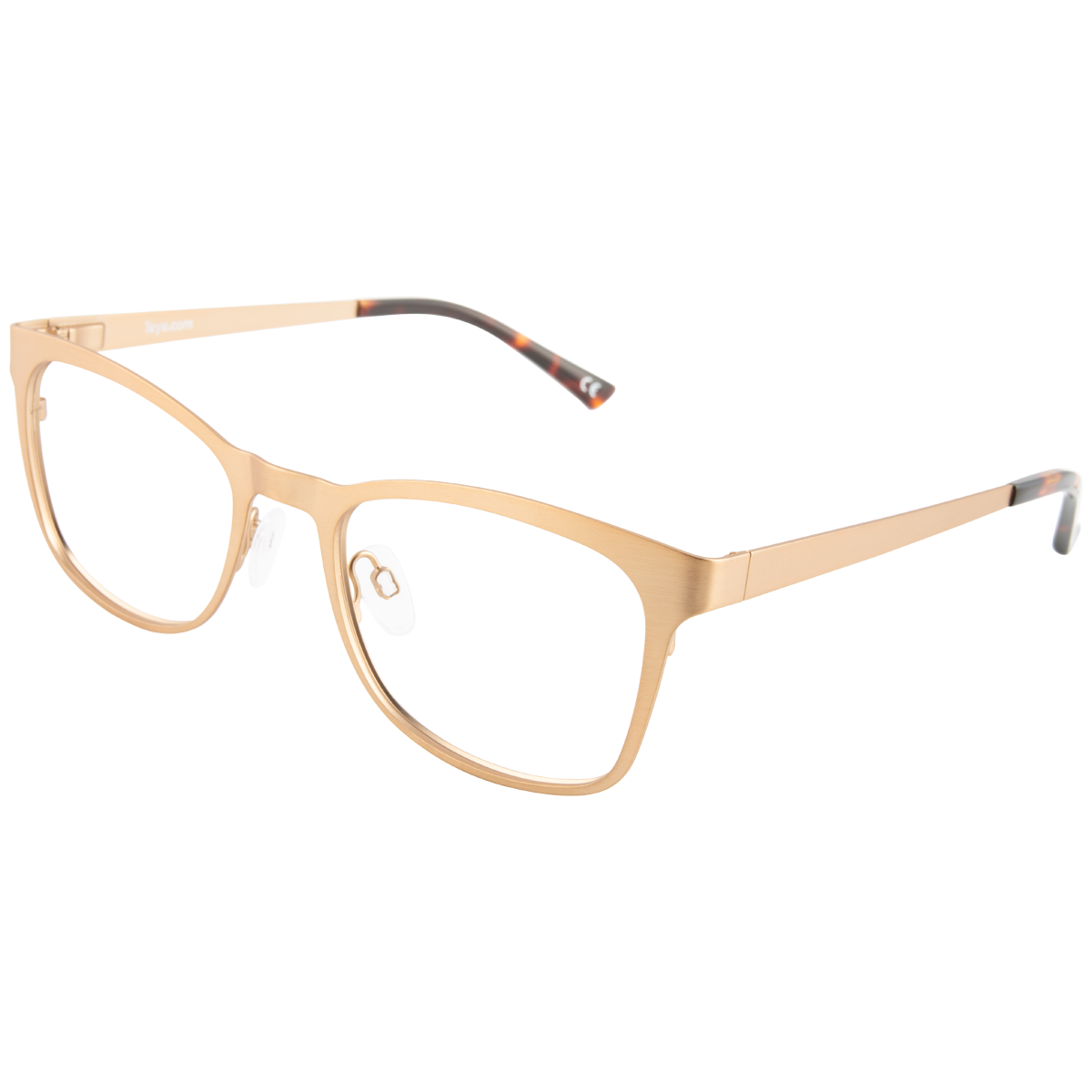 iEye L12