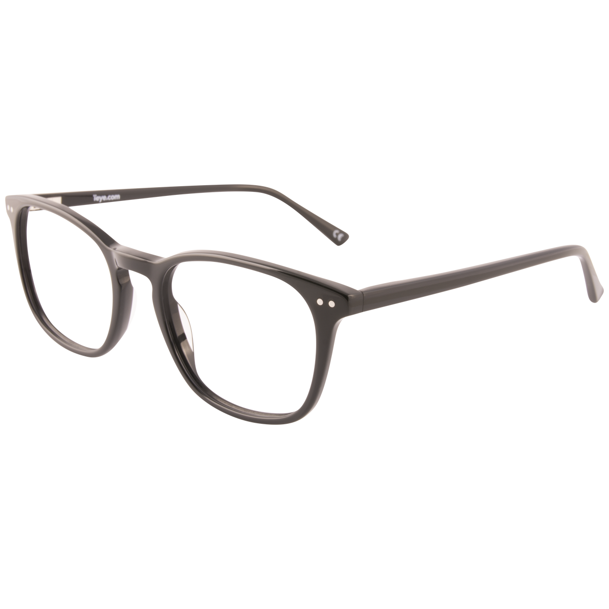 iEye L4