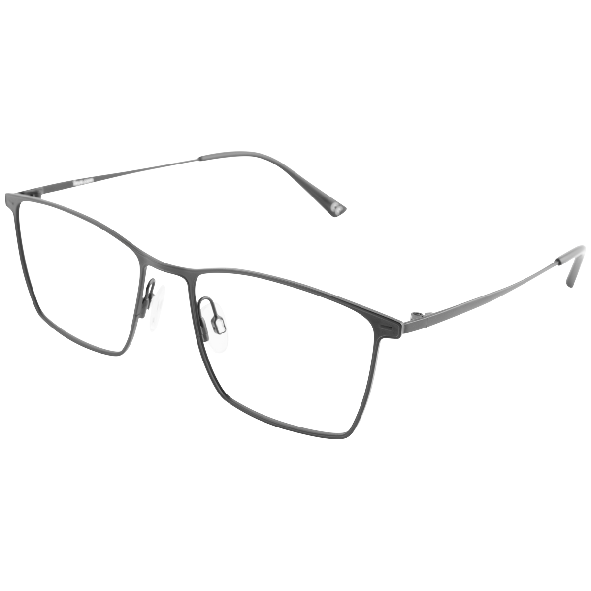 iEye L1