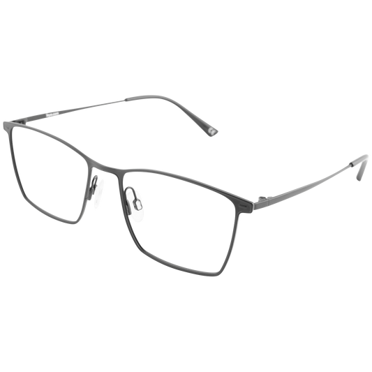 iEye L1
