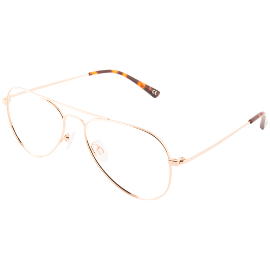 iEye L10