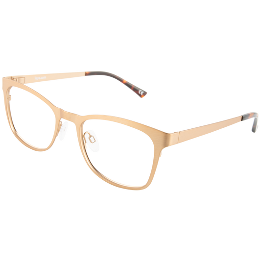 iEye L12