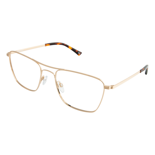 iEye L19