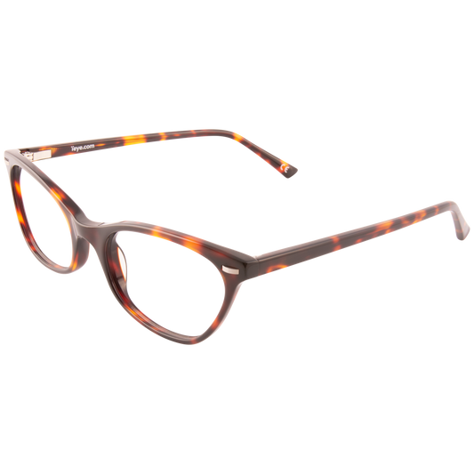 iEye L2