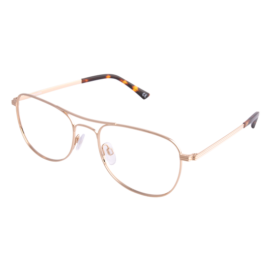 iEye L20