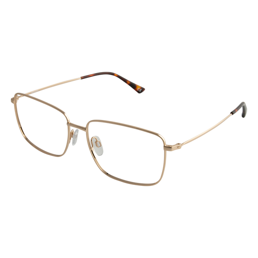 iEye L21