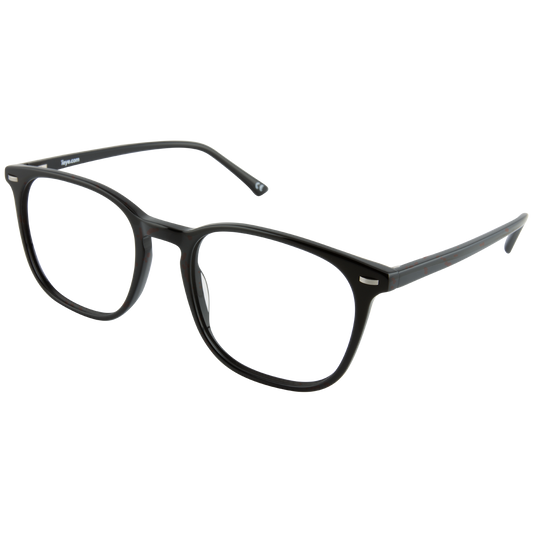 iEye L6